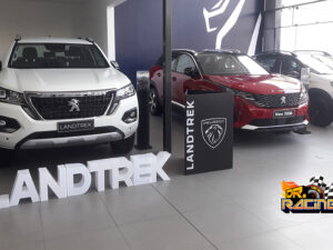 Eligiendo tu SUV: cualidades a valorar y el futuro de este segmento