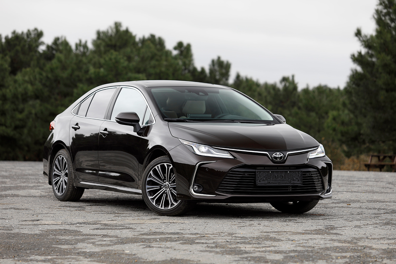 Autos sedán: Cinco motivos para elegirlos como vehículo familiar