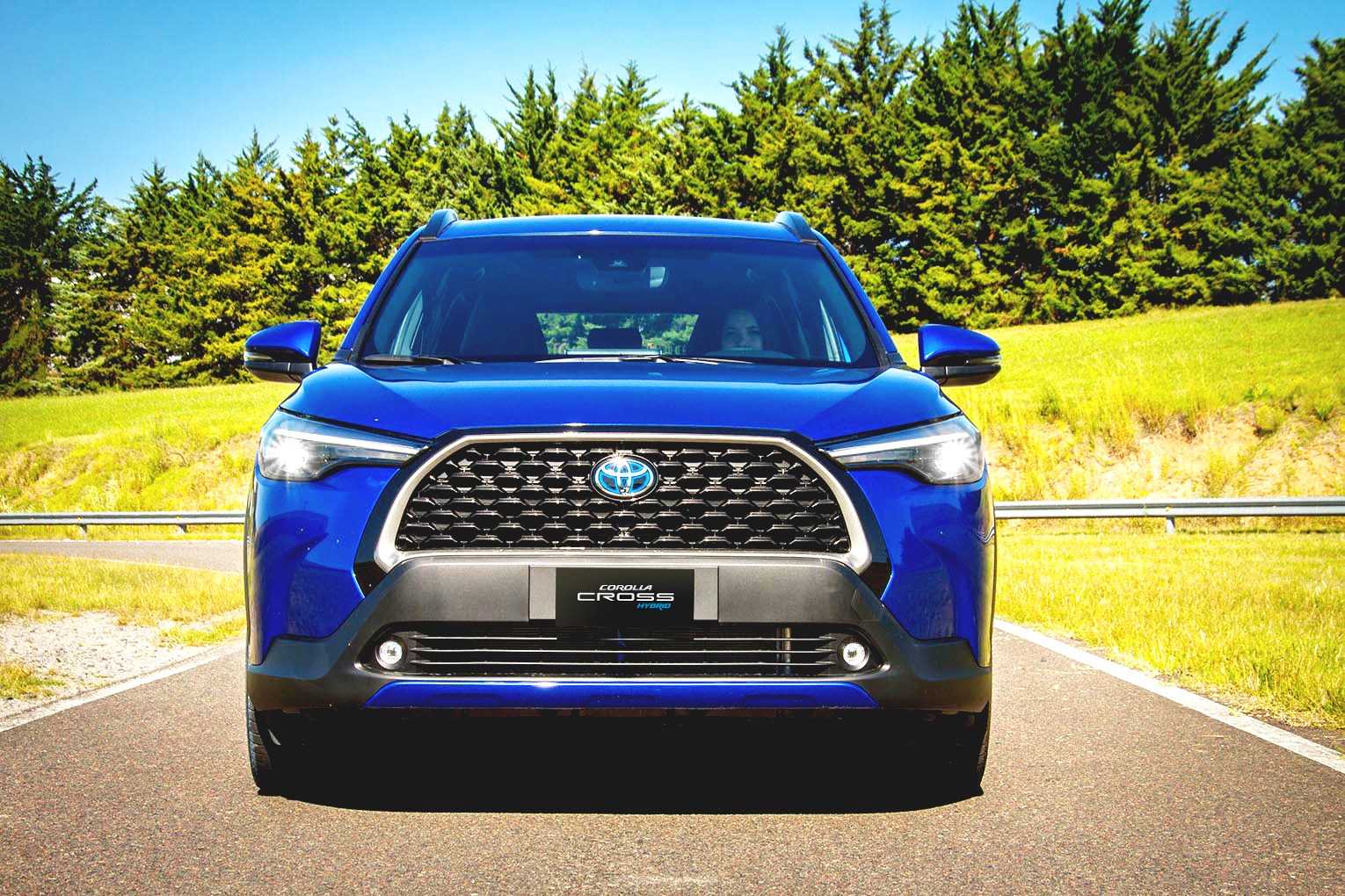 Híbridos eléctricos: por qué son una potente alternativa para reducir la contaminación