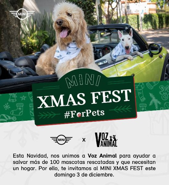 MINI Xmas Fest: MINI y ONG Voz Animal se unen este domingo 03 para contribuir con el cuidado de más de 100 mascotas rescatadas esta Navidad