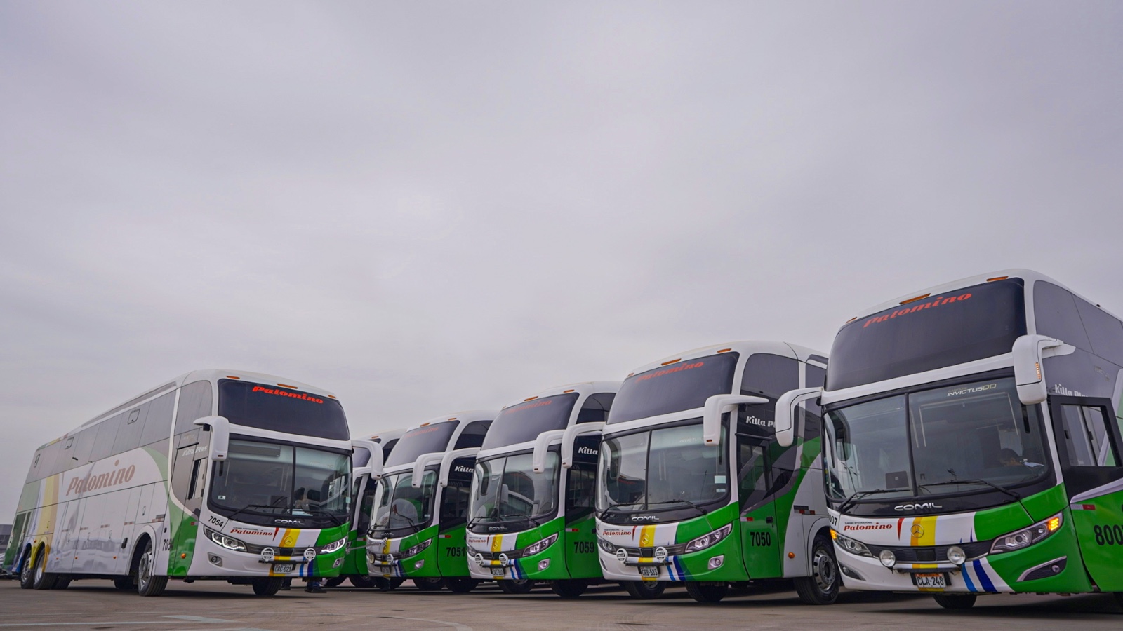 Divemotor refuerza el transporte interprovincial con la entrega de 17 buses Mercedes-Benz a Transportes Palomino